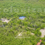 Comunicat | Acțiune de ecologizare în Parcul Crâng