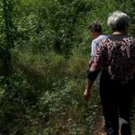 Pădurea, o farmacie în aer liber. În această perioadă se culeg mușețelul, urzicile sau pătlagina