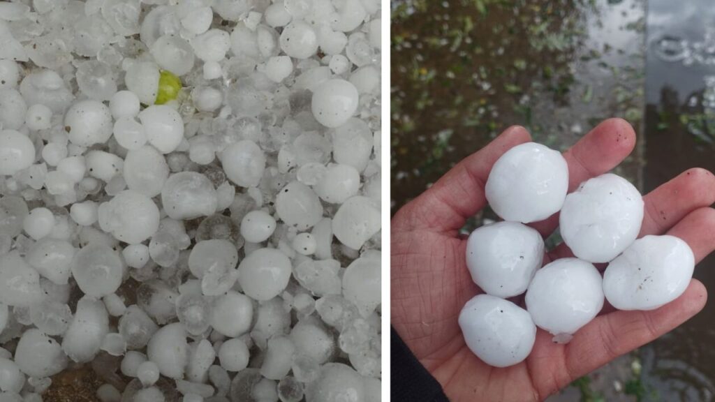 Prăpăd la Lopătari. Grindina cât oul a făăcut ravagii în grădinile oamenilor