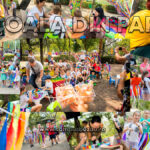 Comunicat Școala din Parc | Programul din prima săptămână a lunii iulie