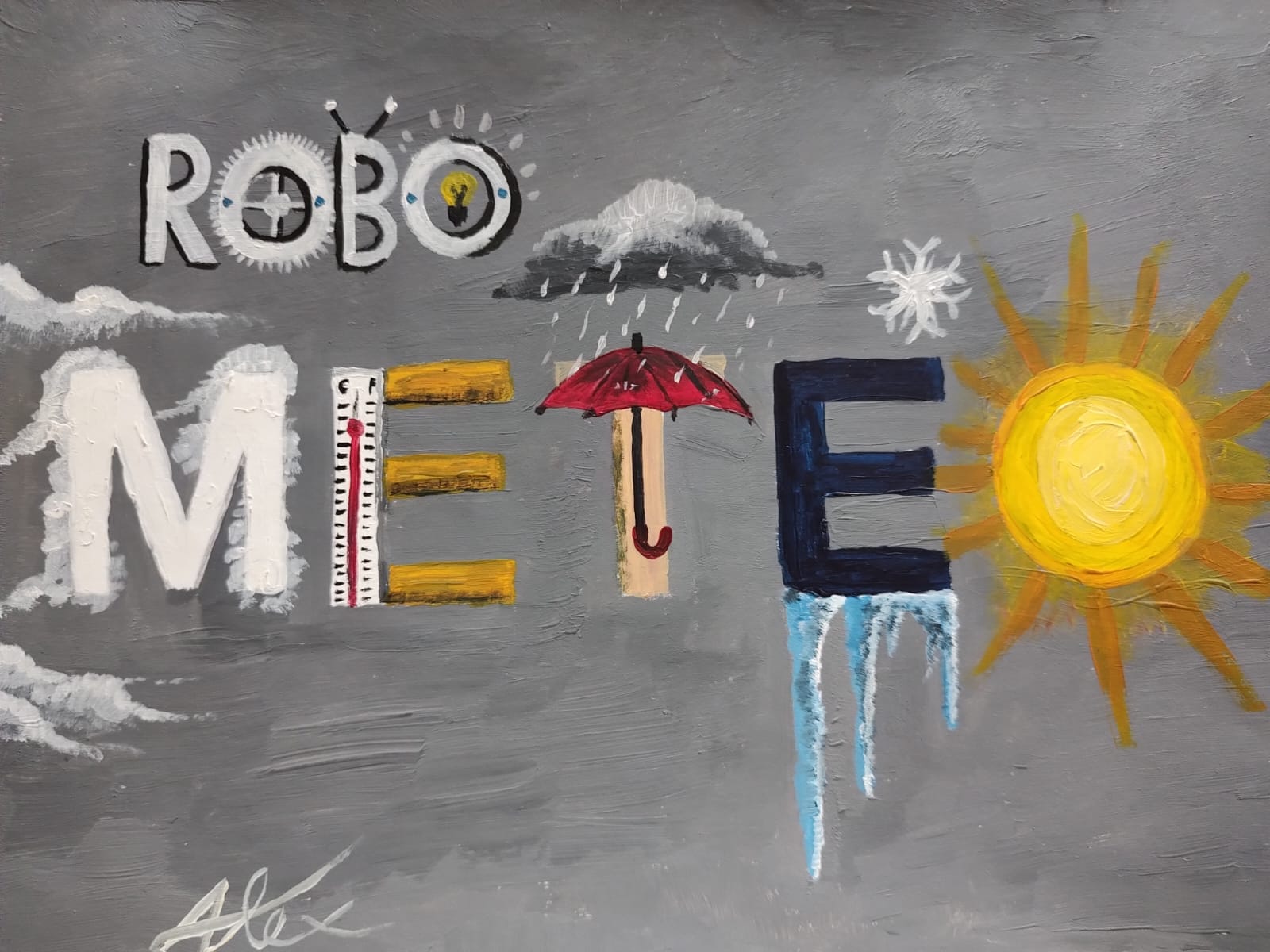 RoboMeteo. Clubul elevilor din Vadu Pașii