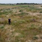 Amplă acțiune de căutare a unei octogenare. Femeia, dispărută de acasă acum o săptămână, este de negăsit