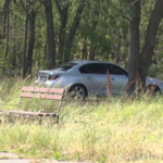 Propunere glumeață. Un buzoian propune amenajarea unei parcări în Crâng.