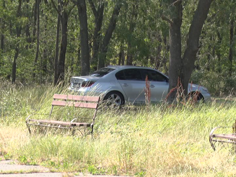Propunere glumeață. Un buzoian propune amenajarea unei parcări în Crâng.