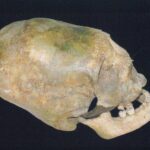 Prințesa de la Muzeu. Avea ca podoabă Diadema de la Gherăseni