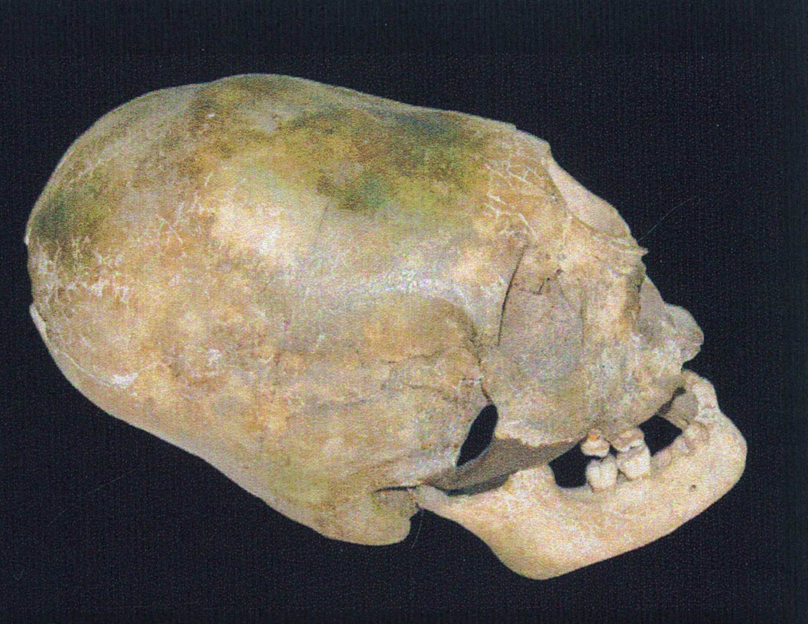 Prințesa de la Muzeu. Avea ca podoabă Diadema de la Gherăseni