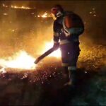 O problemă arzătoare … și la propriu. Creștere alarmantă a numărului incendiilor de vegetație