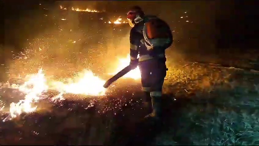 O problemă arzătoare … și la propriu. Creștere alarmantă a numărului incendiilor de vegetație