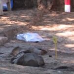 Zi deschisă pe un important șantier arheologic. Publicul are ocazia să viziteze situl Pietroasa Mică – Gruiu Dării