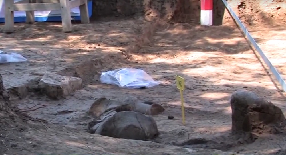 Zi deschisă pe un important șantier arheologic. Publicul are ocazia să viziteze situl Pietroasa Mică – Gruiu Dării