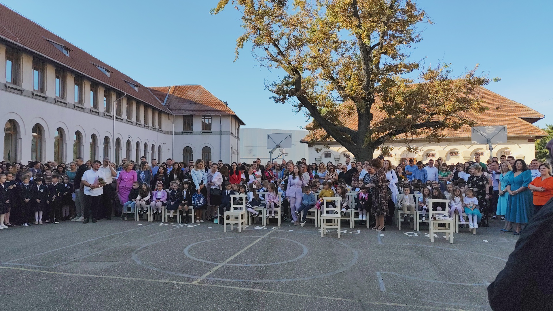În jurul stejarului. Festivitatea de deschidere de la Pedagogic