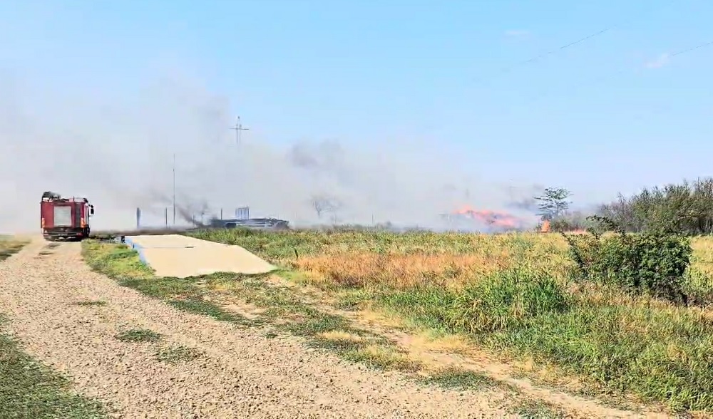 Incendiu pornit de la o țigară. 12 hectare de vegetație s-au făcut scrum, în Zona Industrială