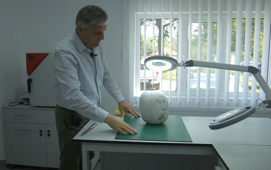 Pepenele de iarnă și roșiile cu țepi. Cele mai noi soiuri aclimatizate la Banca de gene Buzău