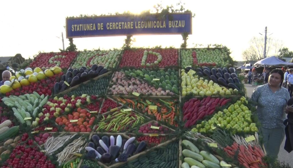Final de „Toamnă Buzoiană”. Ediția 2024 a Târgului agro-alimentar s-a încheiat