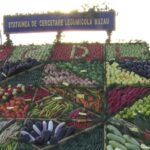 Final de „Toamnă Buzoiană”. Ediția 2024 a Târgului agro-alimentar s-a încheiat