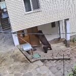 Liber la vânătoare de urși. În comunele de la munte, sălbăticiunile forțează intrarea în locuințe