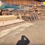 Evaziune fiscală cu lemn. Metoda folosită de un nehoian pentru a păcăli Statul