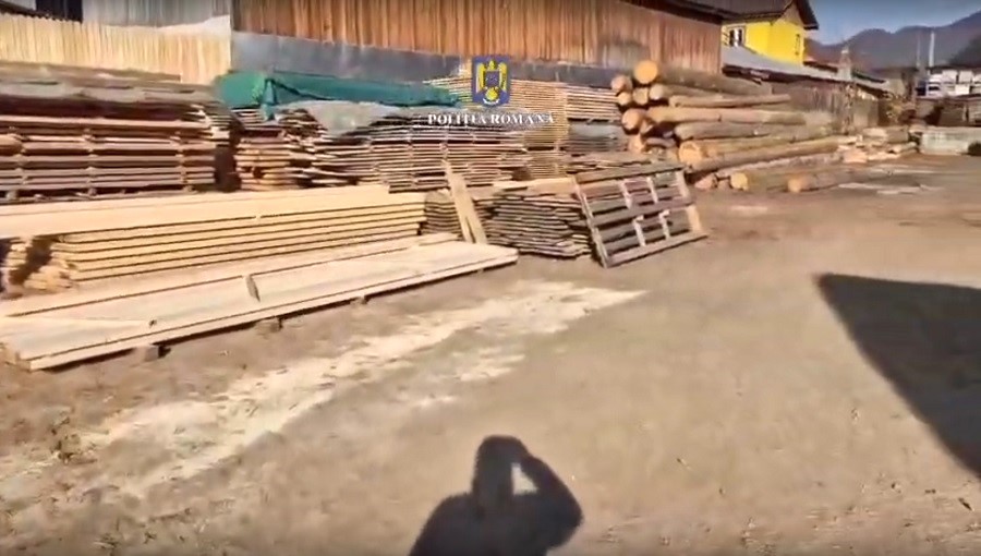 Evaziune fiscală cu lemn. Metoda folosită de un nehoian pentru a păcăli Statul