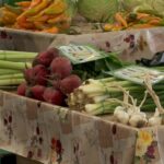 Prețurile verdețurilor, mai ridicate la iarnă? Fermierii fac eforturi să mențină costurile de producție scăzute