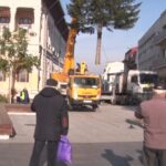 Bradul democrației. A împlinit 34 de ani de când a fost plantat