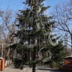 Invitație în Crâng. Se deschide Târgul de Crăciun