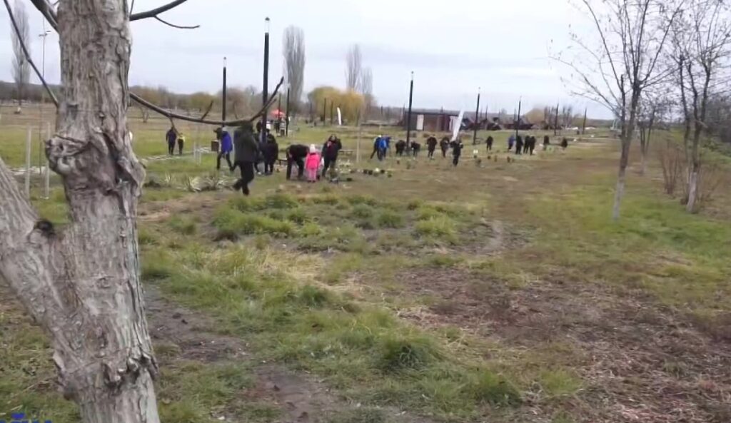 Au început plantările. Pomi și plante perene vor fi plantate la Buzău