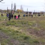 Au început plantările. Pomi și plante perene vor fi plantate la Buzău