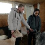 Capra autohtonă, înlocuită cu o rasă exotică. Capra anglo-nubiană dă lapte mai mult și mai bun