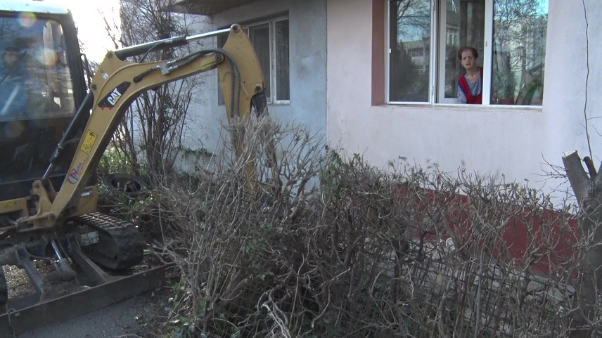 Lucrări de înfrumusețare. A reînceput extragerea gardurilor vii