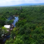 Sentință definitivă. Ce se întâmplă cu Pădurea Crâng?