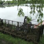 Lacuri curate. Luciile de apă din parcuri sunt curățate de vegetație