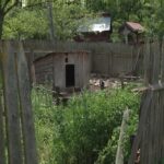 Atacuri tot mai dese. Prezența urșilor, semnalată prin sute de sesizări la 112