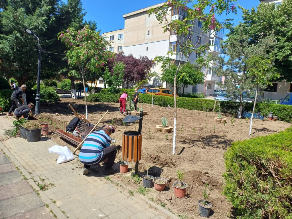 Serviciul de Probațiune Buzău – ateliere de lucru cu tema ,,Munca neremunerată în folosul comunității: obligație penală cu valoare reintegrare socială și reparatorie"