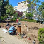Serviciul de Probațiune Buzău – ateliere de lucru cu tema ,,Munca neremunerată în folosul comunității: obligație penală cu valoare reintegrare socială și reparatorie"