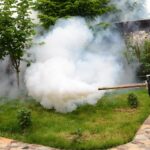 Etapa 2. Dezinsecție la sol