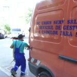 Sezonul câinilor. A crescut numărul câinilor vagabonzi