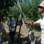 „Livada visului împlinit”. Au lăsat Italia pentru viața la țară în județul Buzău