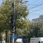 Ultimatum pentru cabliști. Edilul Toma: „După ce pică frunzele, îi anunțăm și le tăiem cablurile”