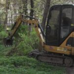 Protejarea gardurilor vii. Proiectul urmează să fie supus aprobării CLM