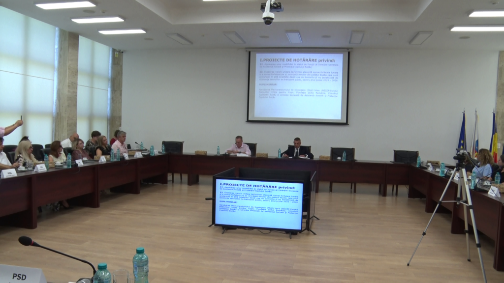 Ajutor financiar pentru Râmnicu Sărat. Municipiul buzoian va primi un milion de lei de la CJ
