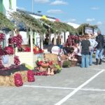 Ceapa roșie de apă are festival. Eveniment gastronomic impresionant, la Mărăcineni