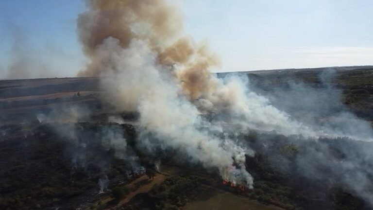 Apel la responsabilitate! A început în forță sezonul incendiilor de vegetație