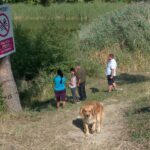 Situație tensionată la Mânzălești. Zeci de localnici au făcut scut în jurul Lacului Meledic