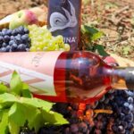 Eveniment inedit la Buzău. Trei zile de festival al vinurilor, în Parcul Brătianu