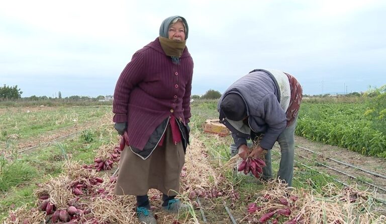Cuplu din Buzău, exemplu de vitalitate. Au aproape 90 de ani dar nu se feresc de muncile câmpului