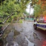 Copaci prăbușiți și drumuri inundate. Primele efecte ale Codului Portocaliu în județul Buzău