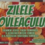 Zilele Dovleacului. Festivalul continuă