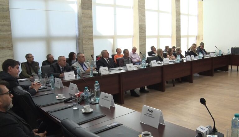 În sprijinul femeilor abuzate. C.J. Buzău, campanie de combatere a violenței domestice