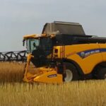 An agricol bun pentru culturile de toamnă. De teama secetei, fermierii tind să renunțe la culturile de primăvară