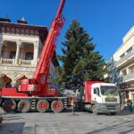 Vin brazii. Astăzi a fost amplasat cel din Piața Daciei